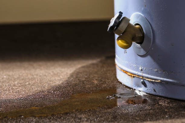 Best Water damage restoration near me  in Fredericksburg, IA
