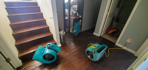 Best Water damage restoration process  in Fredericksburg, IA