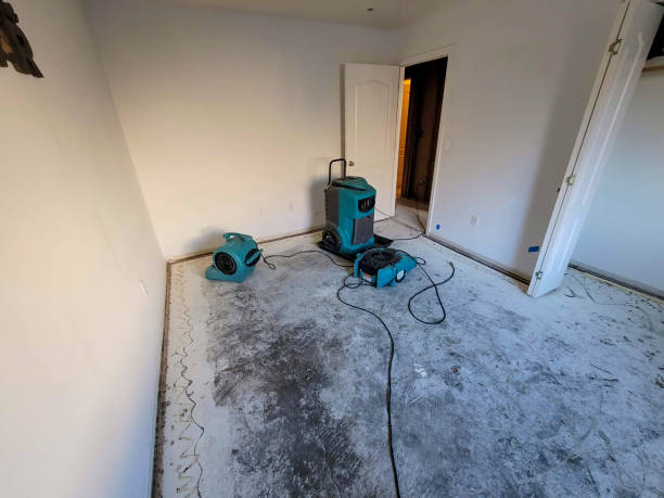  Fredericksburg, IA Water damage restoration Pros
