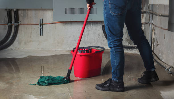Best 24/7 water damage repair  in Fredericksburg, IA