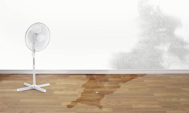 Best Residential water damage restoration  in Fredericksburg, IA