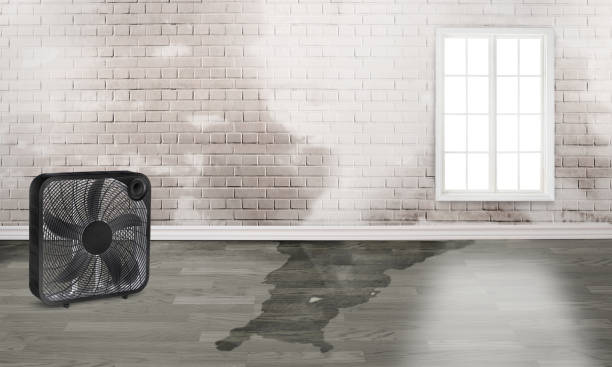 Best Local water damage restoration  in Fredericksburg, IA
