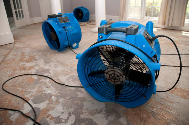 Best Ceiling water damage repair  in Fredericksburg, IA