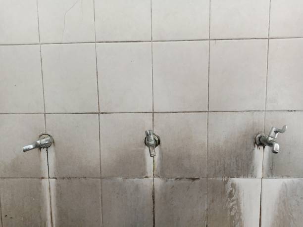 Best 24-hour water damage restoration  in Fredericksburg, IA