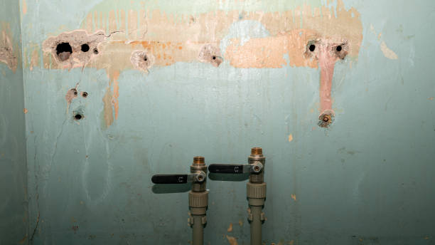 Best Professional water damage repair  in Fredericksburg, IA