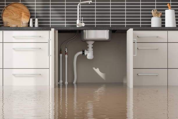 Best Water damage restoration near me  in Fredericksburg, IA
