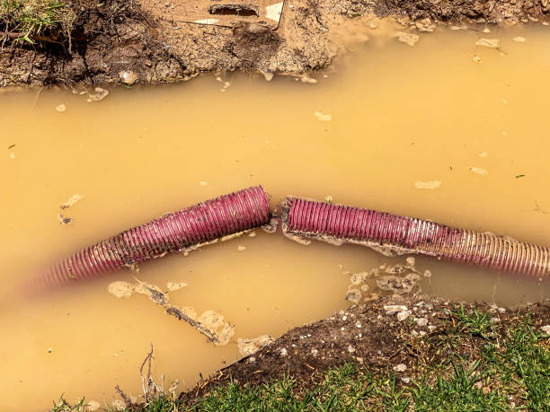 Best Water damage restoration insurance claims  in Fredericksburg, IA
